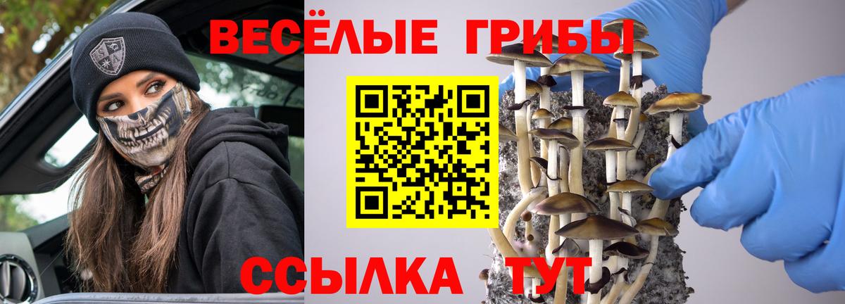 Лосино-Петровский  Галлюциногенные грибы ЛСД  наркошоп  Вход с VPN 